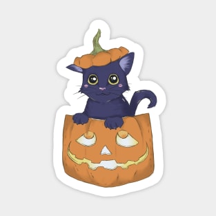 Pocket Cat and Jack-O-Lantern Sticker